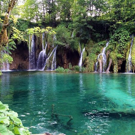 Fenomen Plitvice Gornja Jezera Villa Plitvica selo Kültér fotó